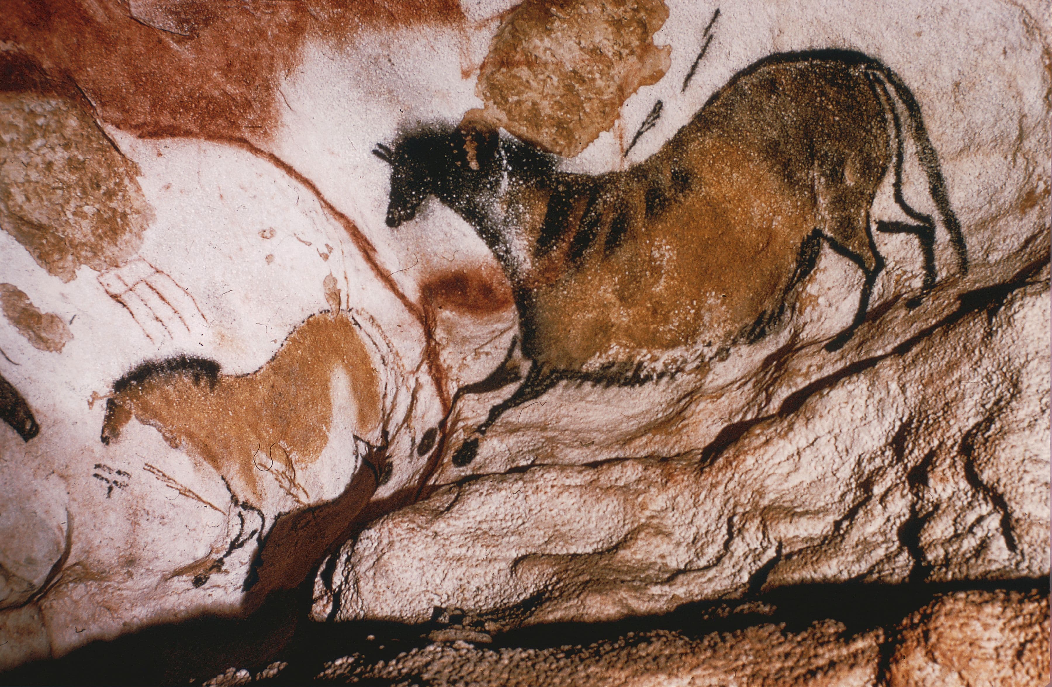 Lascaux: la grotta delle meraviglie preistoriche che ci insegna il futuro