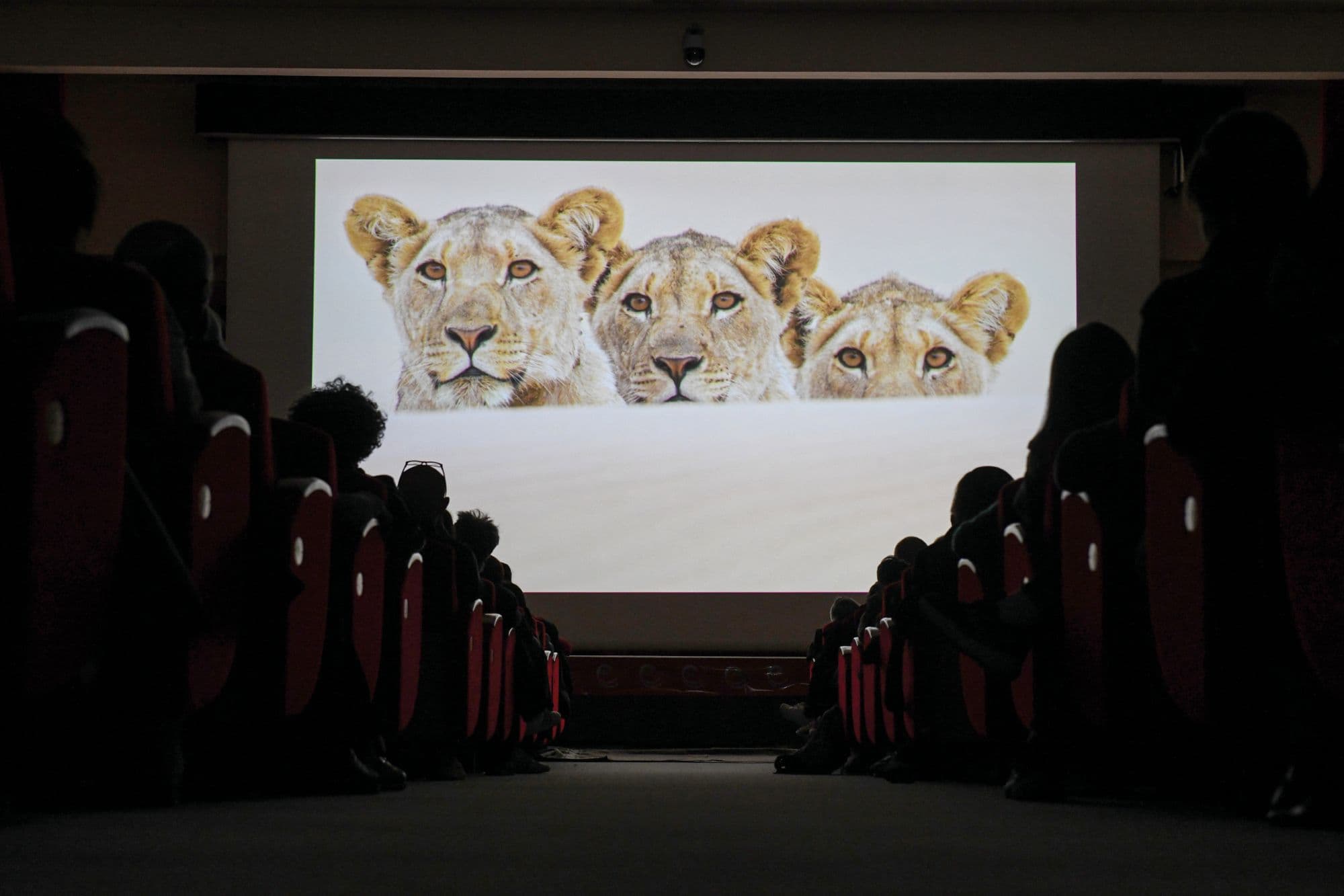 Parte il Gran Paradiso Film Festival: documentari naturalistici, incontri e mostre sul tema della coesistenza