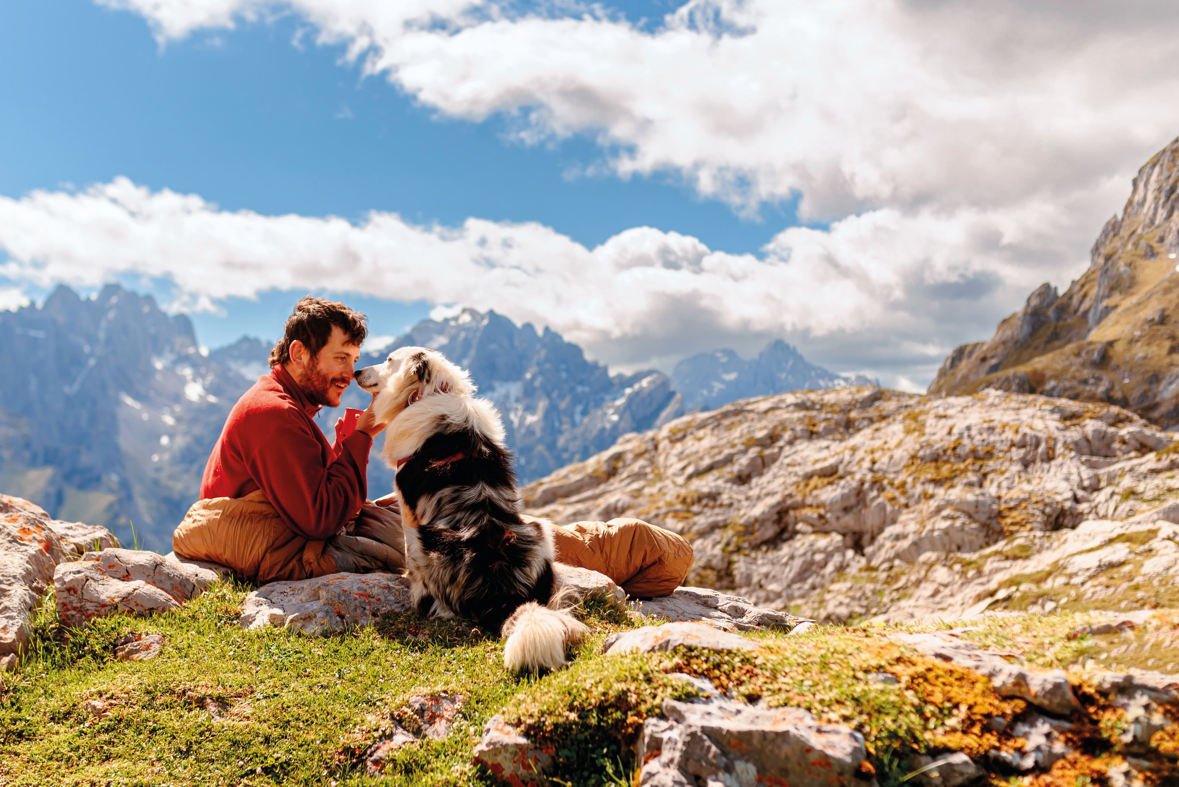 Cani e gatti in vacanza con noi? La nuova guida di Lonely Planet per scoprire l'Italia pet friendly