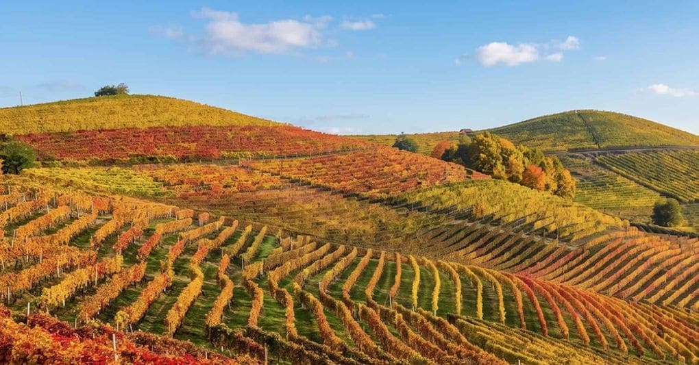 Dal Piemonte alla Valtellina: 10 mete fra foliage, cammini e tradizioni