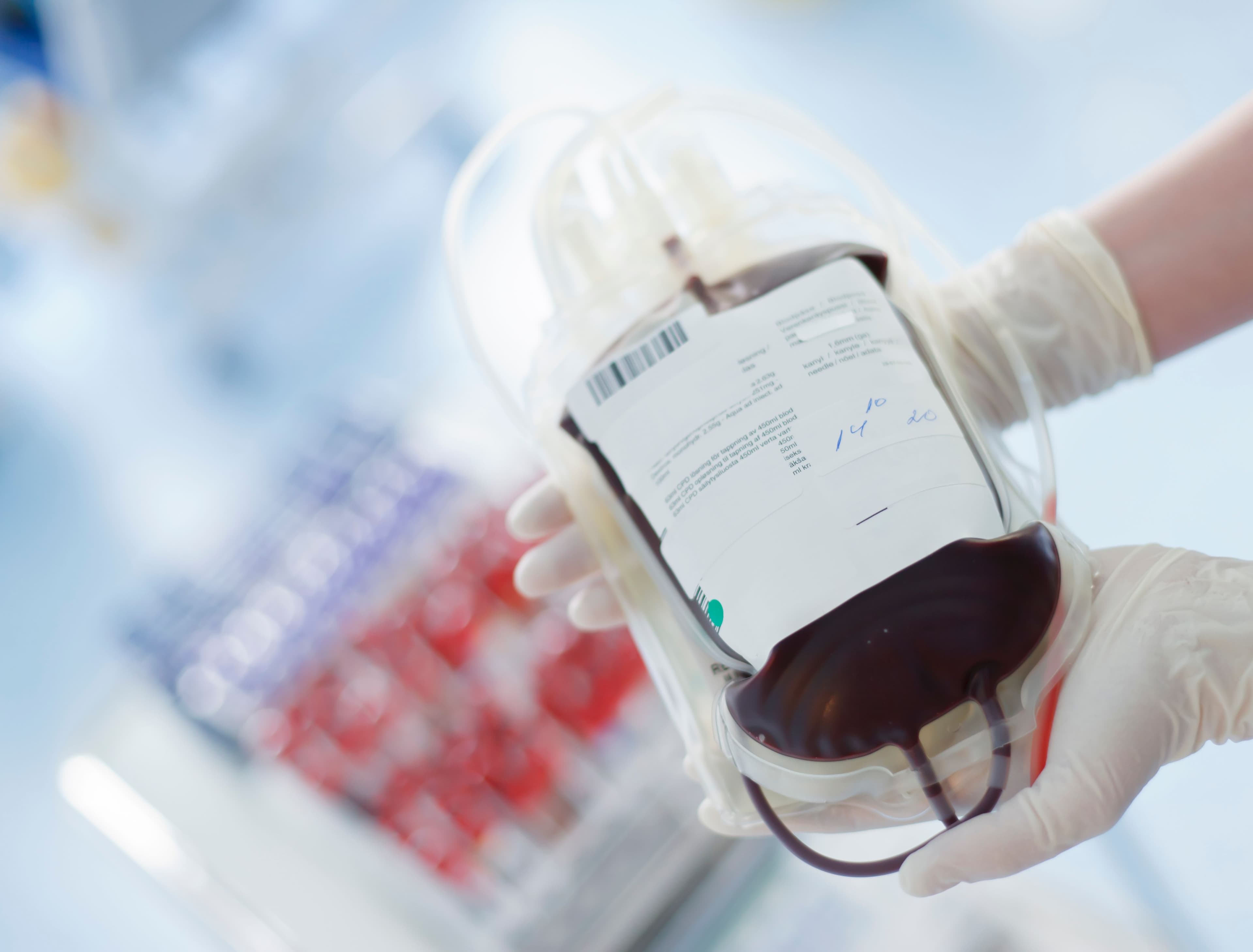 Sangue: «Basta un'ora per salvare una persona». L'appello dell'Associazione Donatori