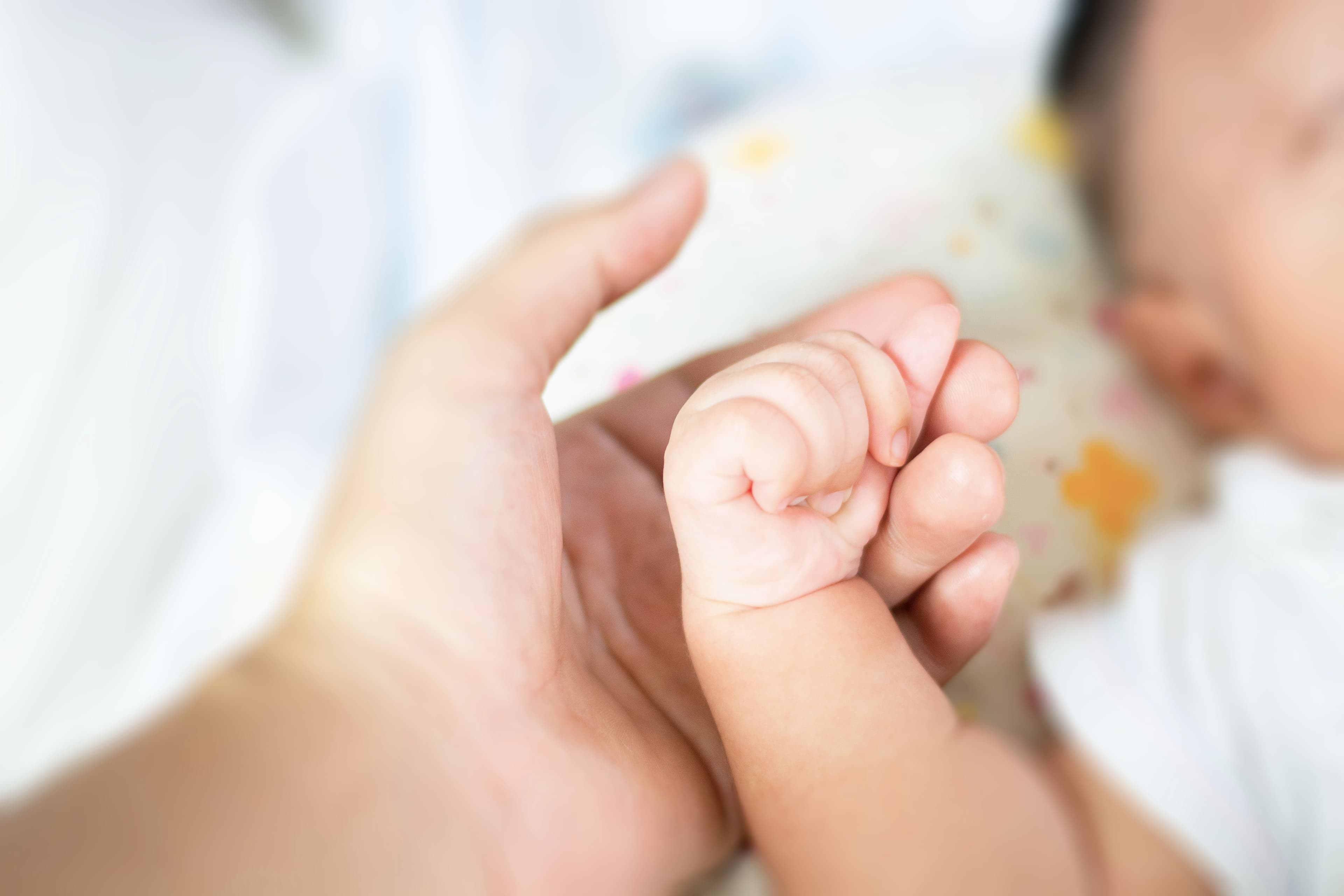 Neonato abbandonato a Cinisello Balsamo, il sindaco: «Anche quando sembra impossibile trovare una soluzione, chiedete aiuto! Troverete qualcuno pronto ad ascoltarvi e ad accompagnarvi»