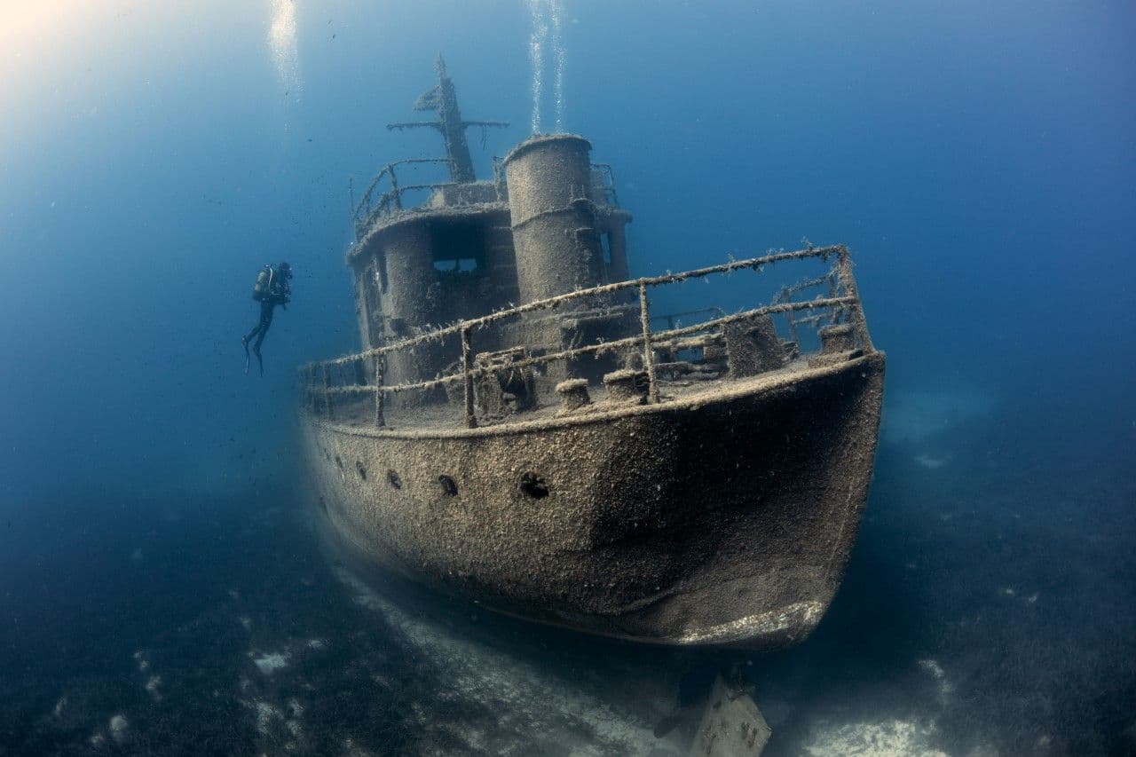 Il museo subacqueo dove le navi della Prima Guerra Mondiale sono diventate un ecosistema: benvenuti al Gallipoli Historic Underwater Park