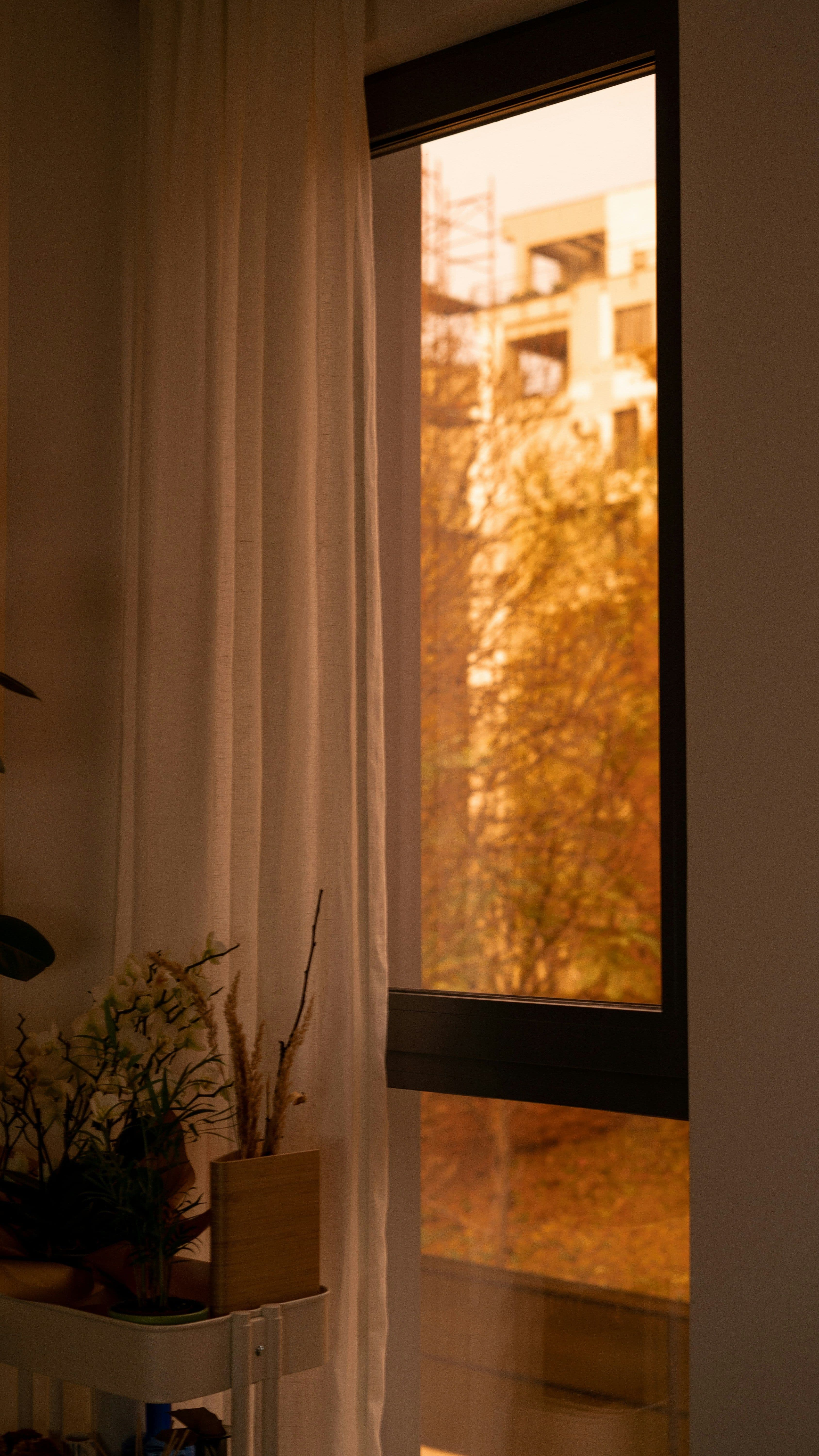 Idee e consigli per la casa d'autunno: 12 elementi per preparare l'arredo alla nuova stagione