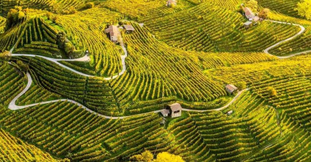 Quattro idee da vivere nel week end