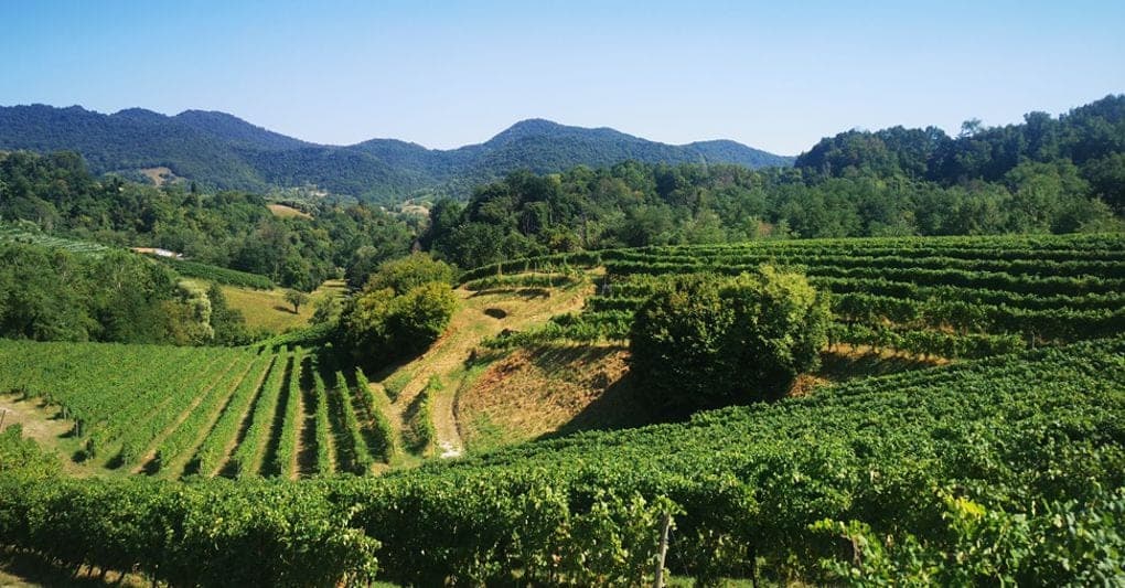 Arte e storia, vitigni e bicicletta: esperienze da vivere nelle terre del Prosecco