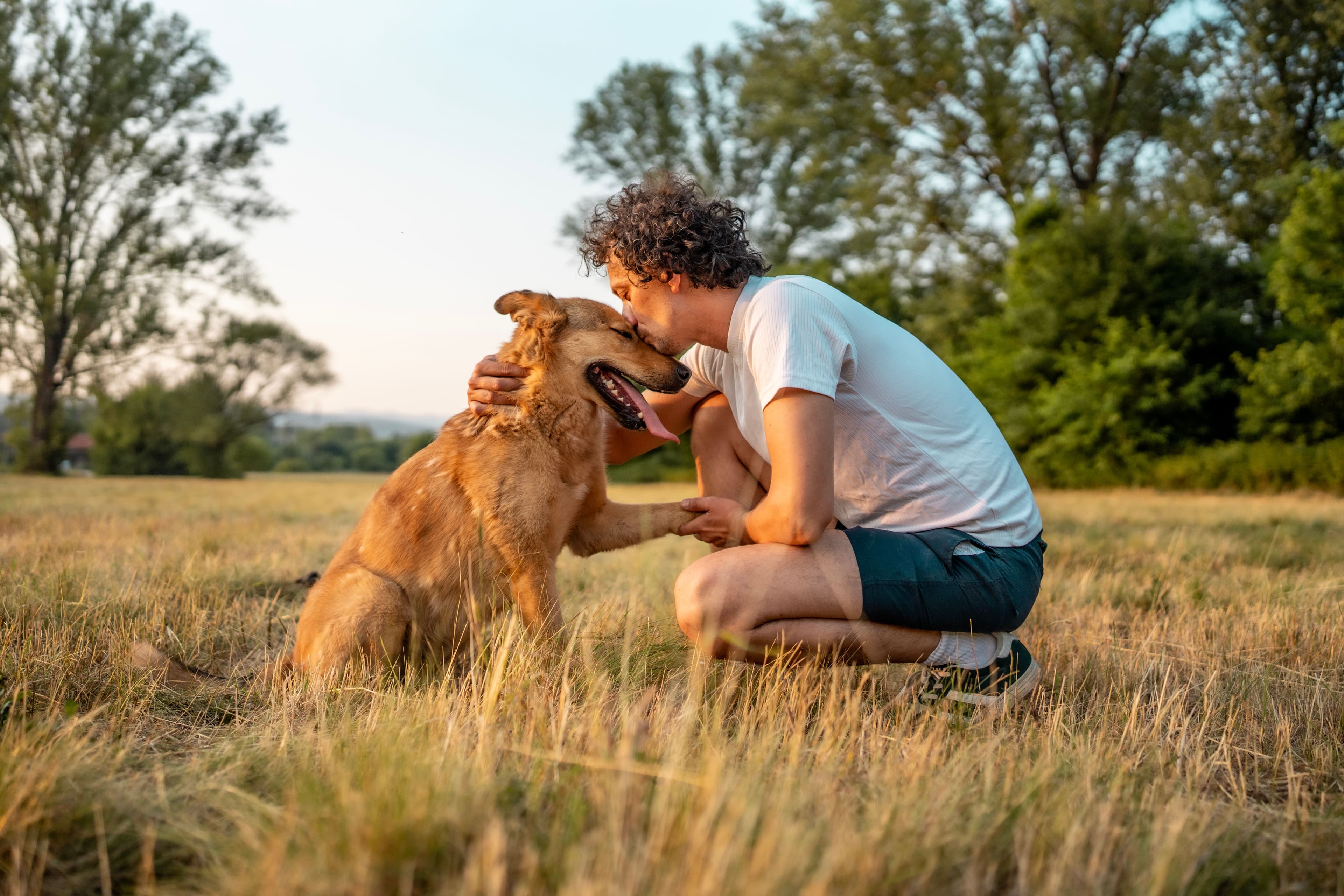 Una nuova ricerca dice che i nostri cani elaborano le parole come fanno i bebè