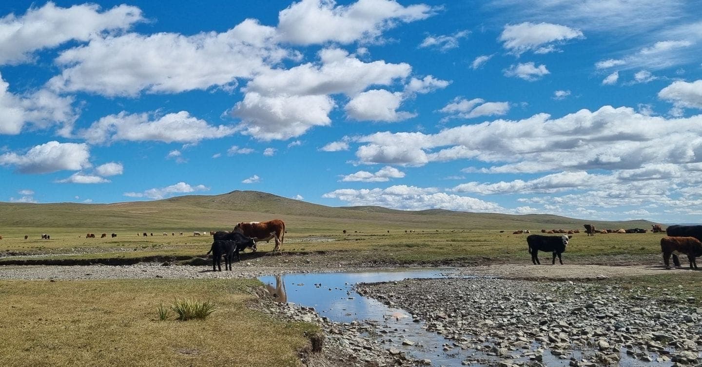 Mongolia libera e immacolata: cieli, orizzonti e silenzi infiniti