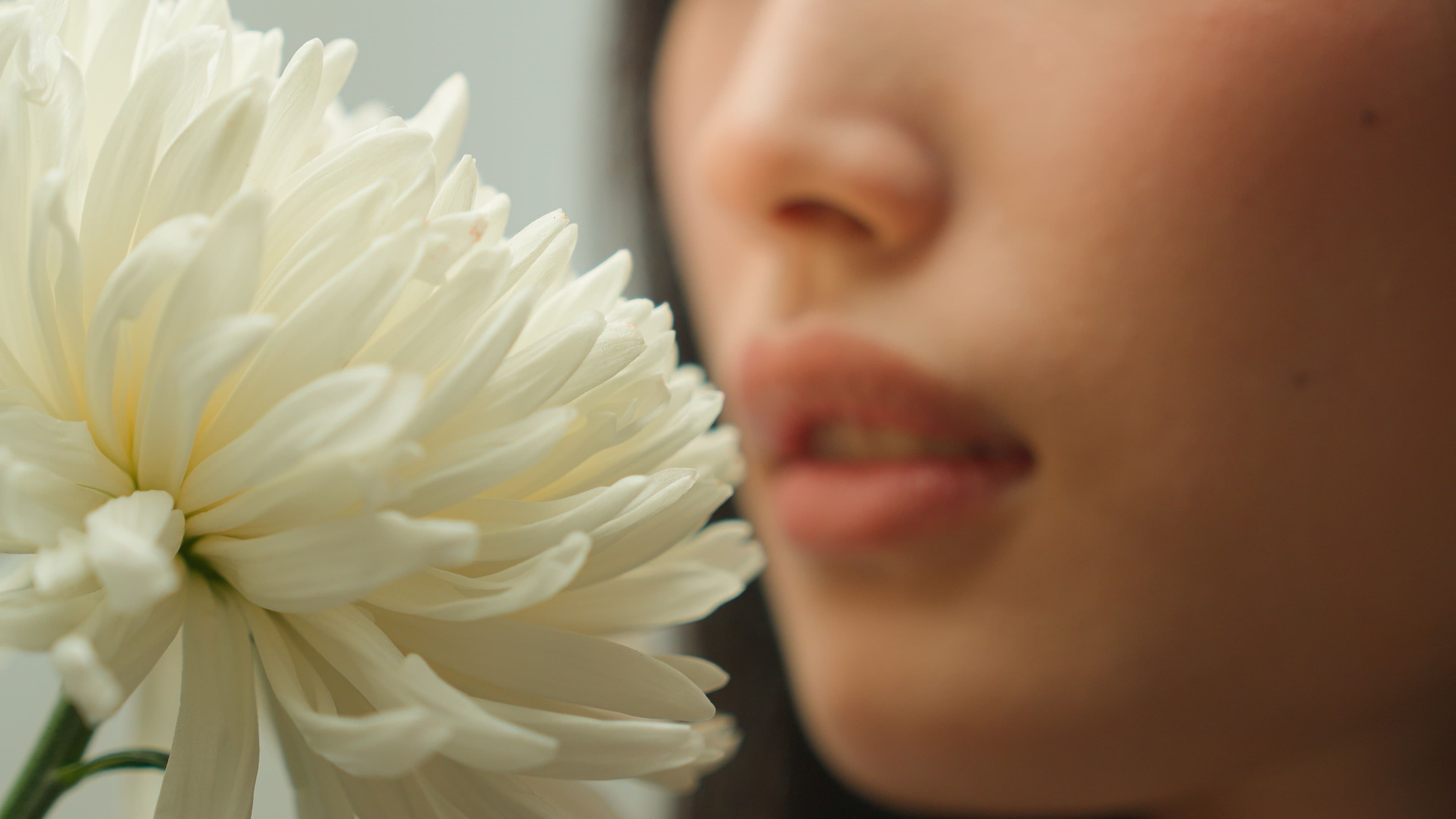 Profumi cinesi, Xiao Lan del brand Bu Feng, naso: «La natura libera del vento è ciò che spero i miei profumi possano incarnare: mi piacerebbe che le loro note accompagnassero chi li indossa in luoghi incredibili e inaspettati»