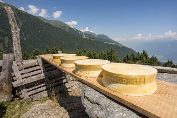 In Valtellina, su per gli alpeggi, alla scoperta dei formaggi Bitto e Casera