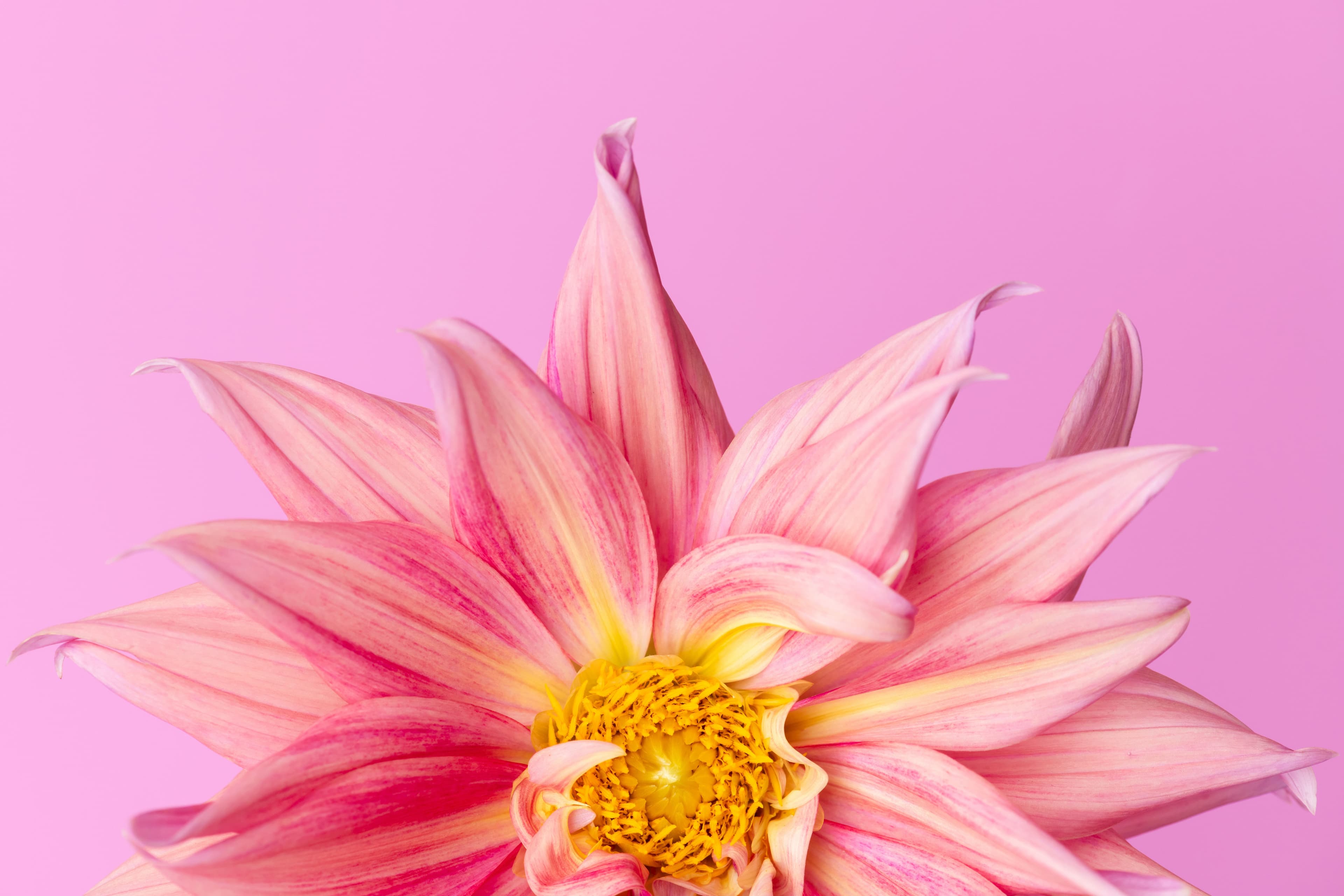 Menopausa, perché non cominciamo a pensarla come un momento di rinascita?