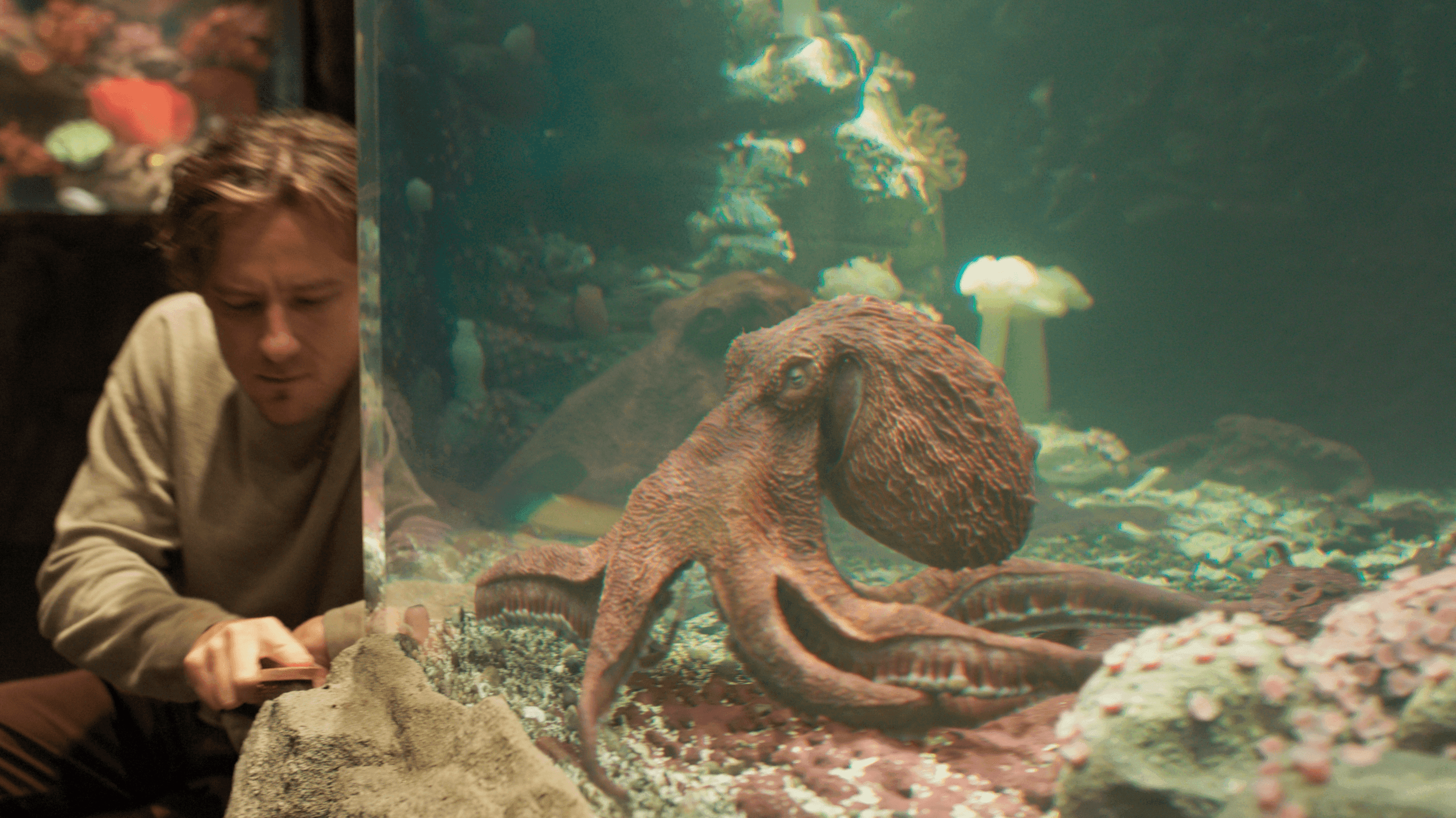 Creature luminose: cosa succede quando il «cibo» dimostra di pensare